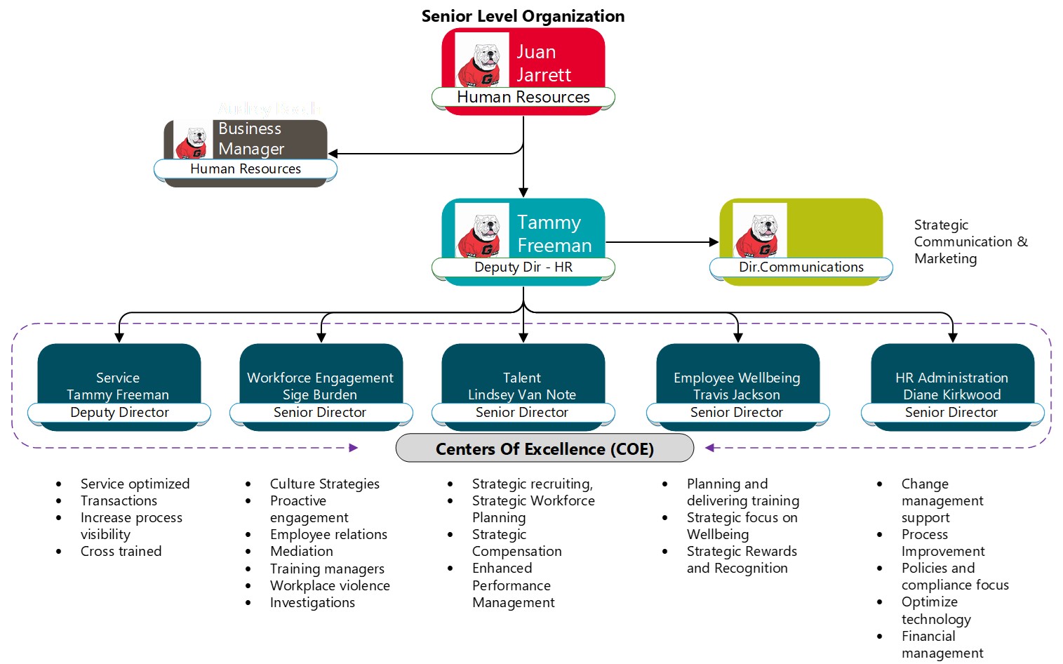 Senior level organization structure