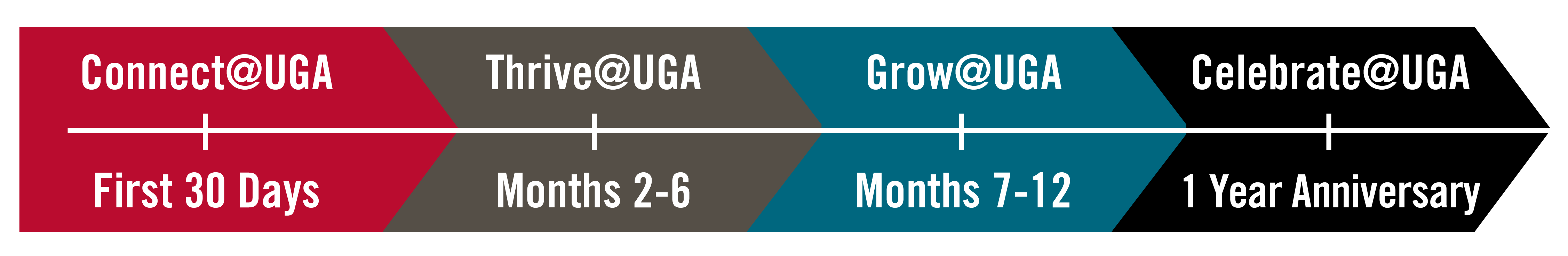 orientation timeline