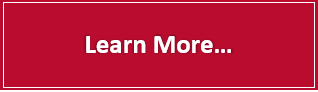 learn more about team development programs