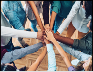 Team and Org Development